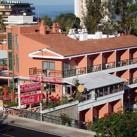 Chinyero * Puerto de la Cruz (Tenerife)